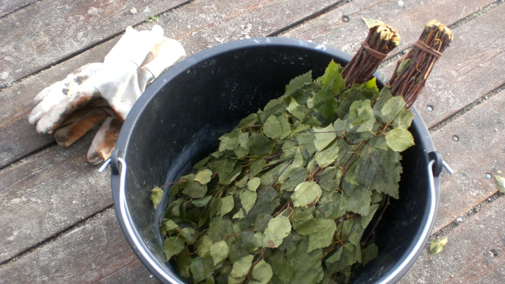 birk-vihta.webp